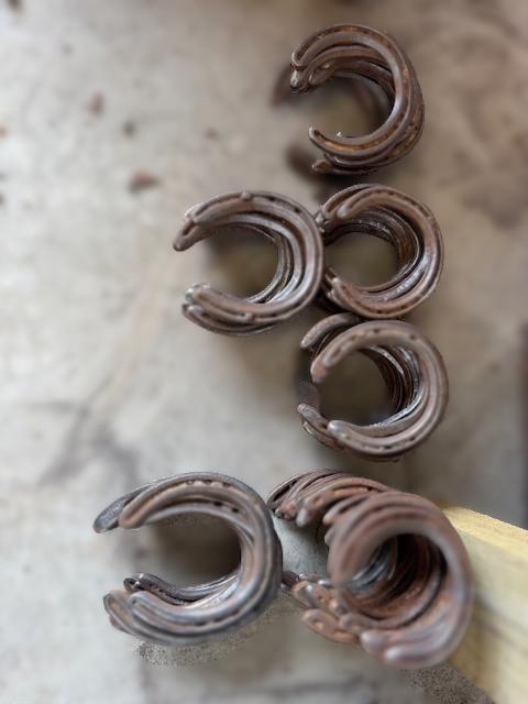 images/RS HORSESHOESz.JPG